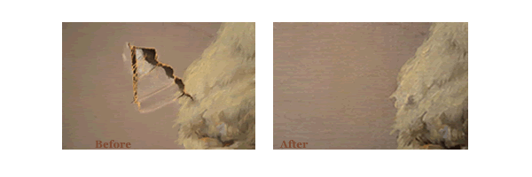 Sample of Artists We’ve Restored